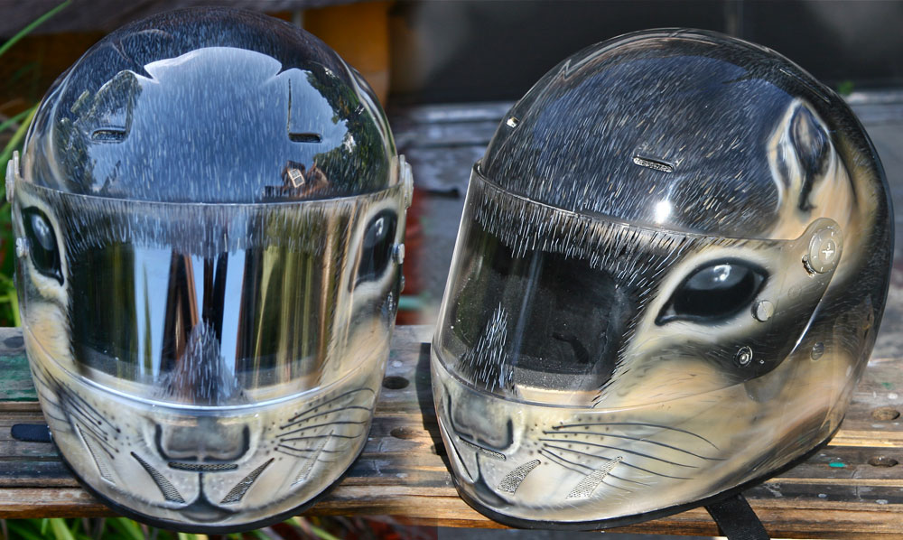 squirrel helmet airbrush